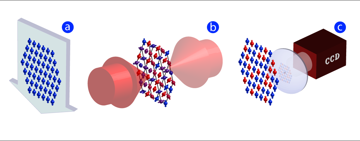 ion image